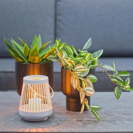 Q Private Parking דירה *