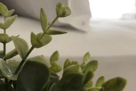 Q Private Parking * Volos