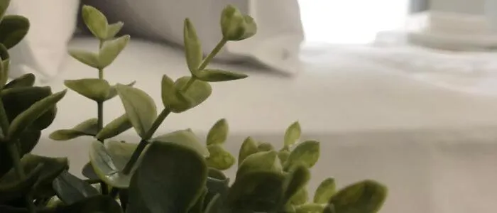 Q Private Parking * ヴォロス